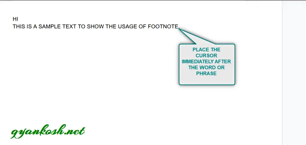 add a footnote gogole docs