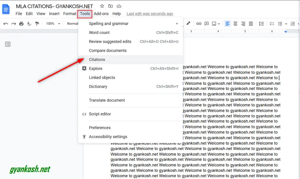 how-to-use-mla-citation-in-google-docs-with-examples