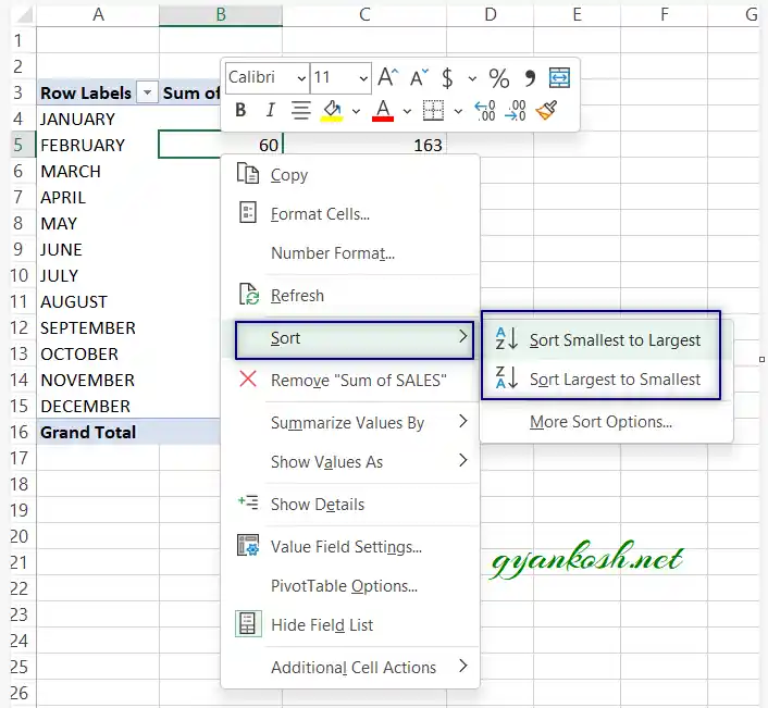 Manual Sort Pivot Table Hot Sex Picture 6438